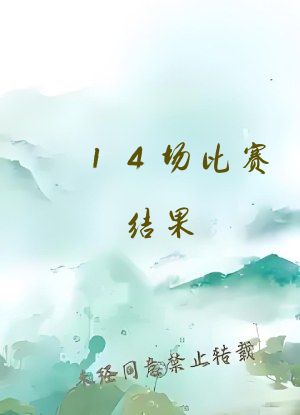 14场比赛结果