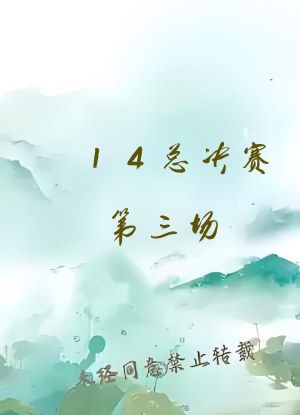 14总决赛第三场