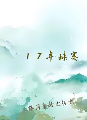 17年球赛
