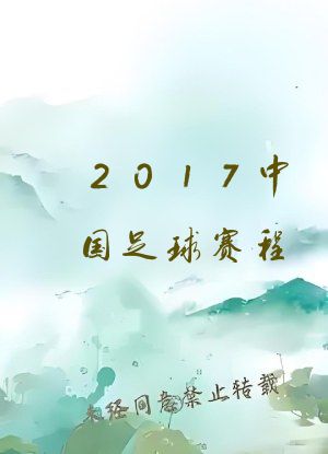 2017中国足球赛程