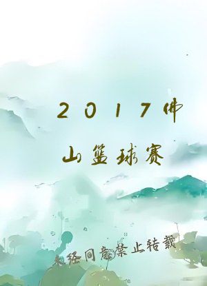 2017佛山篮球赛
