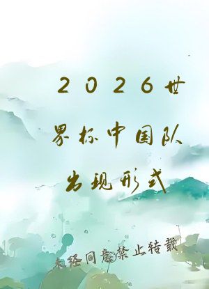 2026世界杯中国队出现形式