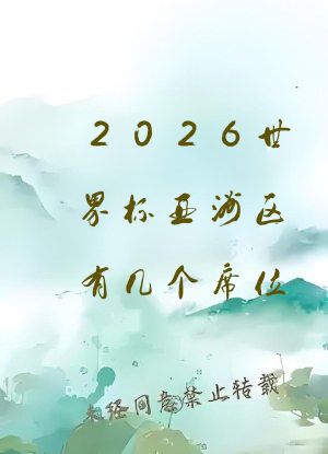 2026世界杯亚洲区有几个席位