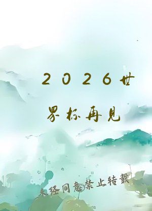 2026世界杯再见