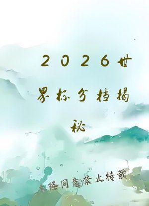 2026世界杯分档揭秘
