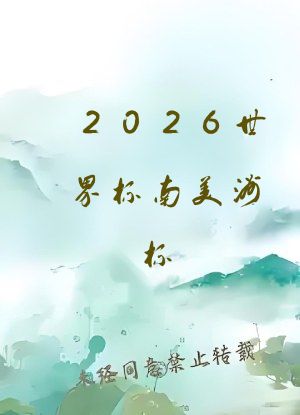 2026世界杯南美洲杯