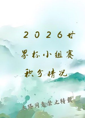 2026世界杯小组赛积分情况
