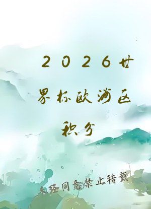 2026世界杯欧洲区积分