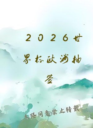 2026世界杯欧洲抽签