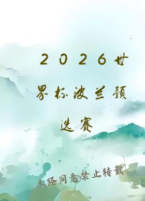 2026世界杯波兰预选赛