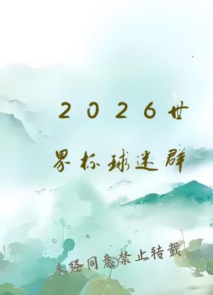 2026世界杯球迷群