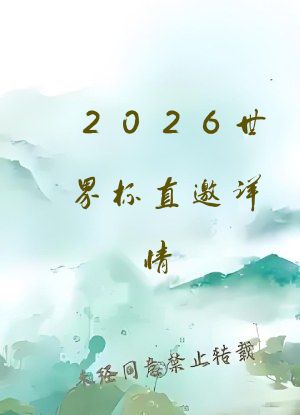 2026世界杯直邀详情