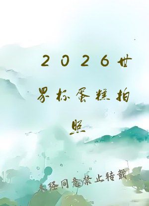 2026世界杯蛋糕拍照