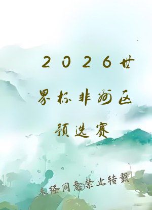 2026世界杯非州区预选赛