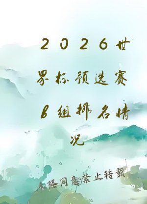 2026世界杯预选赛b组排名情况