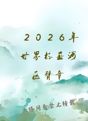 2026年世界杯亚洲区臂章