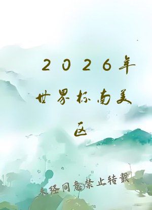 2026年世界杯南美区