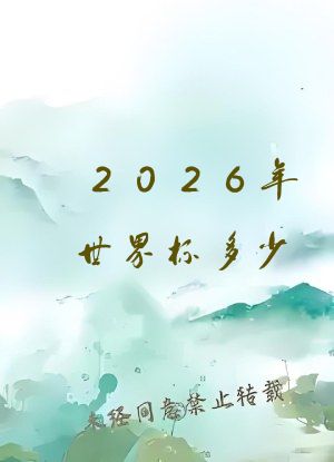 2026年世界杯多少