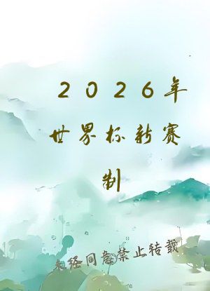 2026年世界杯新赛制