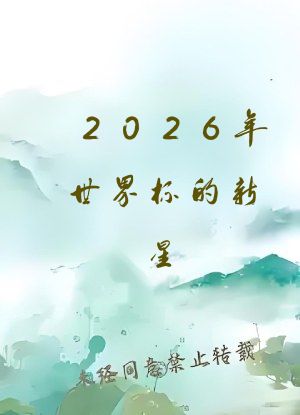 2026年世界杯的新星