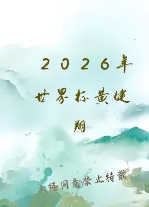 2026年世界杯黄健翔