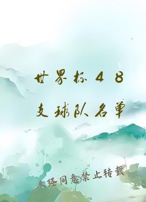 世界杯48支球队名单