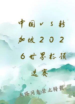 中国vs新加坡2026世界杯预选赛