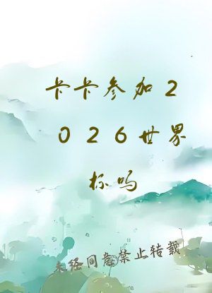 卡卡参加2026世界杯吗