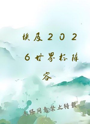 埃及2026世界杯阵容