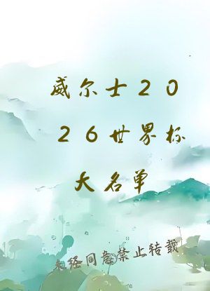 威尔士2026世界杯大名单