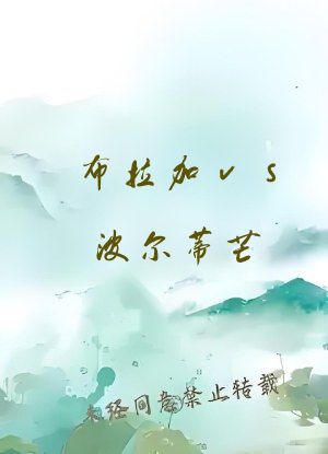 布拉加vs波尔蒂芒