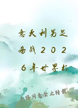 意大利男足备战2026年世界杯