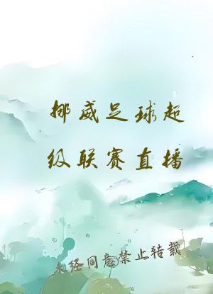 挪威足球超级联赛直播