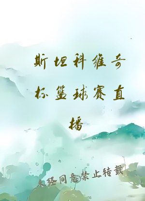 斯坦科维奇杯篮球赛直播