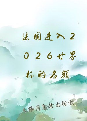 法国进入2026世界杯的名额