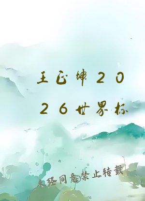 王正坤2026世界杯