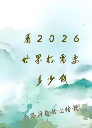 看2026世界杯需要多少钱