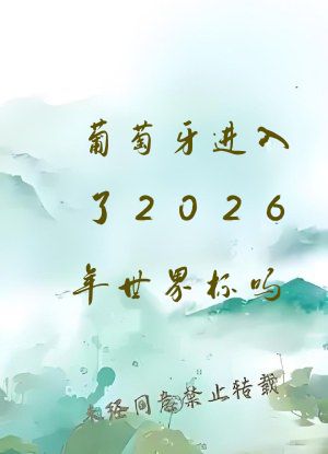 葡萄牙进入了2026年世界杯吗